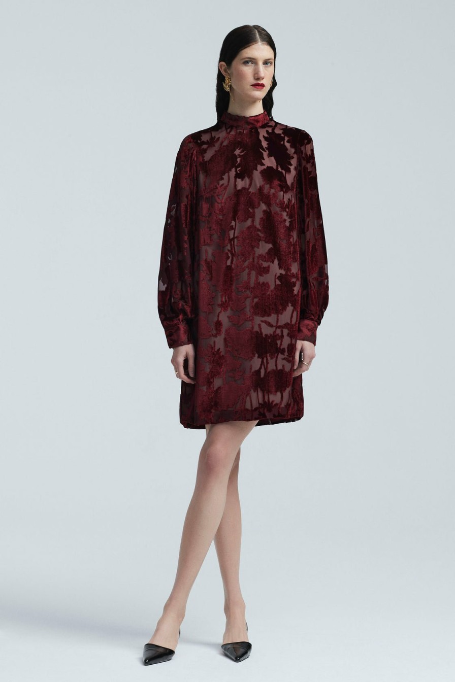 CLOTHING Lela Rose | Floral Velvet Burnout Elizabeth Dress Scarlet